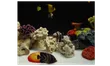 Aquarium 4K